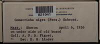 Image Associated With the Occurence